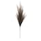 42" Light Brown Pampas Grass Stem by Ashland®
